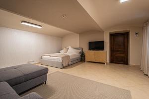 Modern and Spacious Apartments in City Center