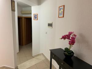 Casa Ziu Juanne img6