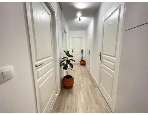 Appartements Superbe Appartement en Residence T3 Options Parking et Clim, lave-linge : photos des chambres