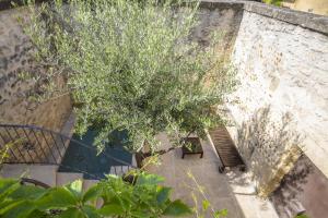 Maisons de vacances La Petite Baronne : photos des chambres