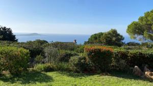 Villas Villa 180 m2 vue Mer Piscine Climatisee Grand jardin 5000 m2 cloture Calme : photos des chambres
