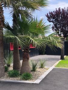 Villas Nanie - Villa centre-ville, piscine, wifi - La Teste de Buch : photos des chambres