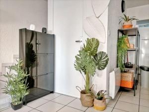 Maisons de vacances Orange touche ~ calme et cosy : photos des chambres