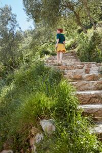 Casa Berti - Urlaub im Olivenhain