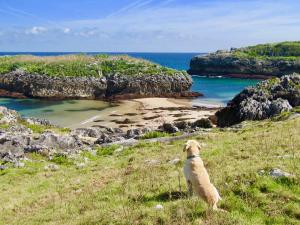 APARTAMENTOS RURALES El Llagar de Cue