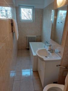 Garsoniera centrala renovata