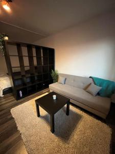 Mall Vitan studio Eveline