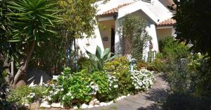 La Pirata Capitana img26