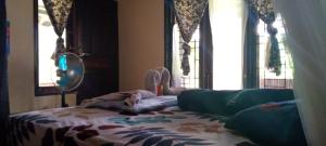 Sumatra Cheeky Monkeys