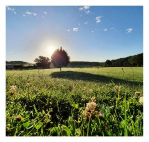 Maisons de vacances Domaine Les Reprilles**** : photos des chambres