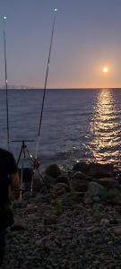 Ajò Faci a Mari img19