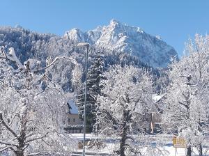 Appartement Bella Vista 