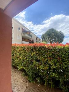 Appartements Lou Cameou : photos des chambres