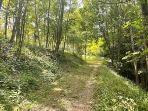 Maisons de vacances Maisonnette en pleine nature, spa, village a pieds : Maison 2 Chambres