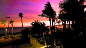 Beach panorama Caleta