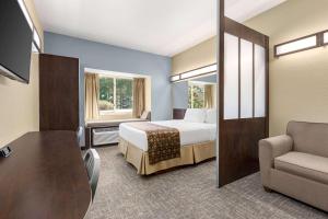 Queen Suite - Non-Smoking room in Microtel Inn & Suites by Wyndham Woodstock/Atlanta North