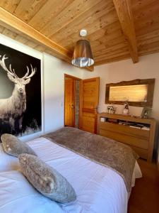 Appartements La Rose des Neiges, duplex, pied des pistes, spa et garage : photos des chambres