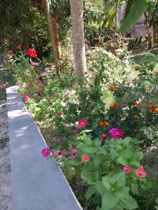 PEACE AND LOVELY HOME LODGE