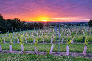 Vakantiehuis Heerlyckheyt Roonen Bergh