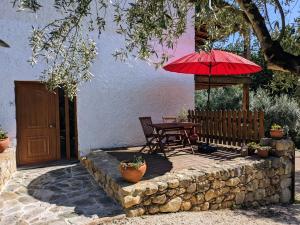 Casa Canela apartment and pool.