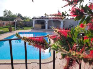 Maisons de vacances Les chambres d'hotes d'Eloise, piscine privee : photos des chambres
