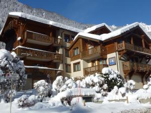 Bel appartement au cœur de Chamonix, près des pistes, avec parking - FR-1-343-163