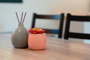 Villa Terrasse et Piscine à lentrée de Porticcio