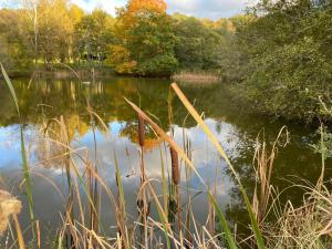 Hotels Les Moulins Du Duc ECOLODGE : photos des chambres