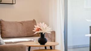 Modern Adora Apartment