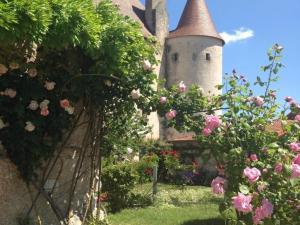 Authentique Grange du XVème siècle avec jardin et animaux admis - FR-1-489-275