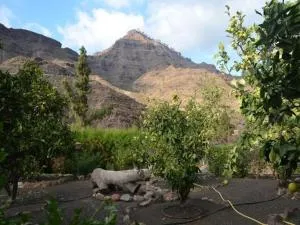 Casa Colonia - Tasarte