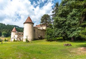 Maisons d'hotes Chateau de Pramenoux : photos des chambres