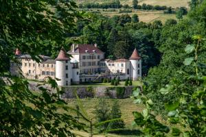 Maisons d'hotes Chateau de Pramenoux : photos des chambres