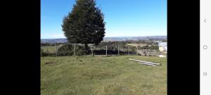 Agroturismo los Colihues