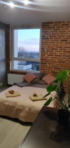 AS Apartament