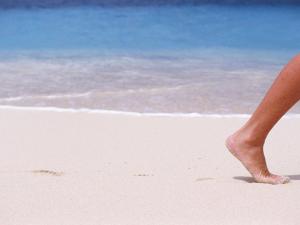 Appartement cosy, proche des thermes, animaux acceptés - FR-1-503-103