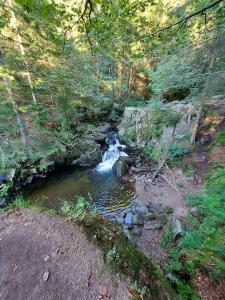 Appartements Bel appartement dans une ferme Vosgienne : photos des chambres