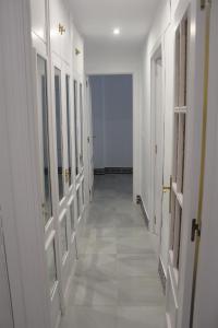 Panther Home Sierpes