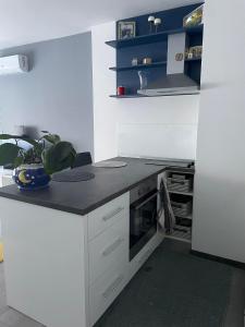 Studio Apartman Ante