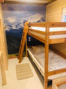 Chalets Le 77 - chalet nature proche S.Besse : photos des chambres