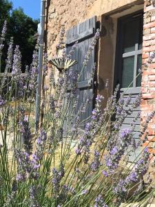 Gîte de la Pisserotte