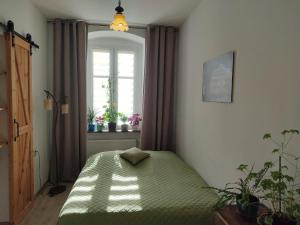 Apartament przy Zamku I