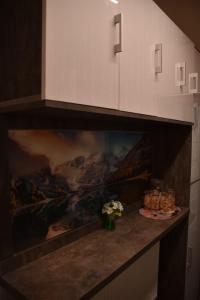 Apartament Ultracentral Piata Muzeului Cluj-Napoca