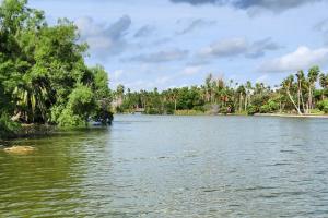 Riverfront Family Home: Yard, Orchard, Dock!