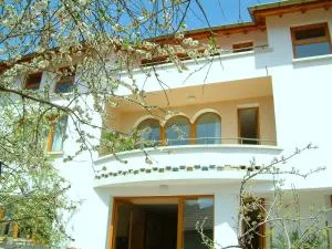 Family Hotel Sonata - Samokow