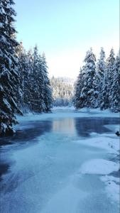 Appartements Gite de Montagne 