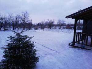 Casa de vacanță Ayan