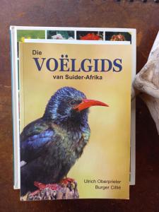 Basco River Lodge Luxury Apartment