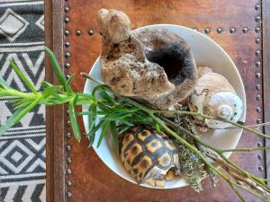 Basco River Lodge Luxury Apartment