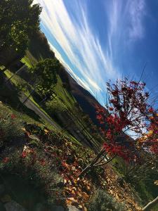 Jazdecký areál Budička